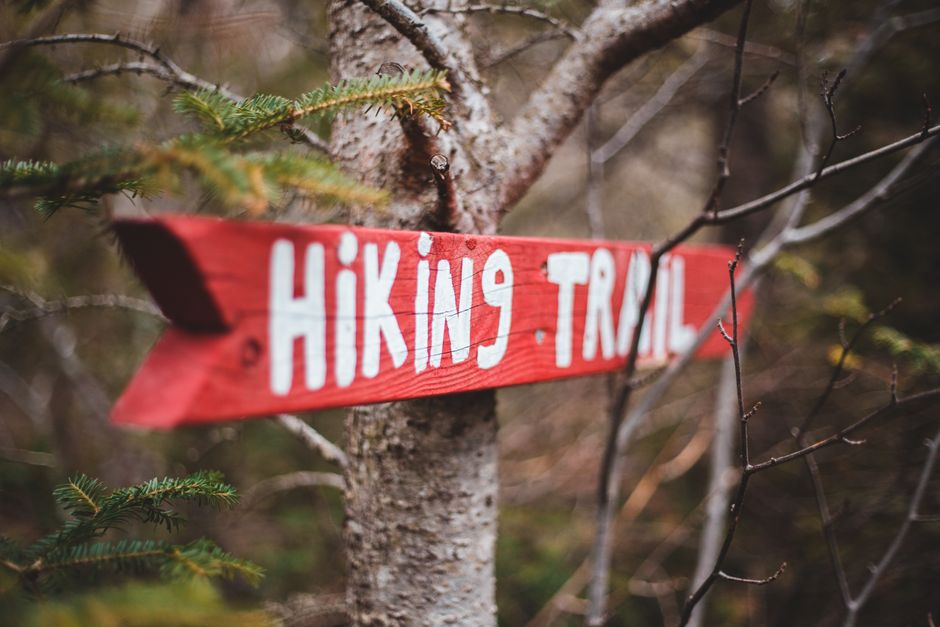 A close-up of a red wooden sign with white hand-painted lettering reading 'Hiking Trail' is nailed to a tree trunk in a forest setting. The sign has a rustic, weathered appearance, with visible wood g